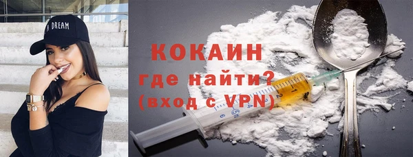 твердый Абаза
