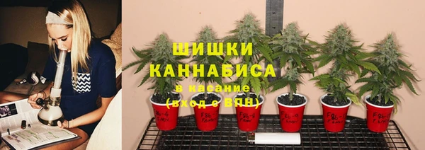 твердый Абаза